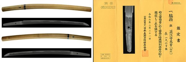 (03-1281)<br><font color="#0000ff"><strong>特別保存刀剣</strong></font><br>近江守忠吉(六代) 一尺六寸強 白鞘入