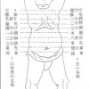 (02-1792)<br><font color="#0000ff"><strong>特別保存刀剣<br>最上大業物 日本刀工辞典 所載</strong></font><br>大和守安定 二尺四寸三分 打刀拵、白鞘付 - 画像 (4)